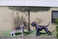 Hunde-Graffiti, Großkugel-Deutschland 2004